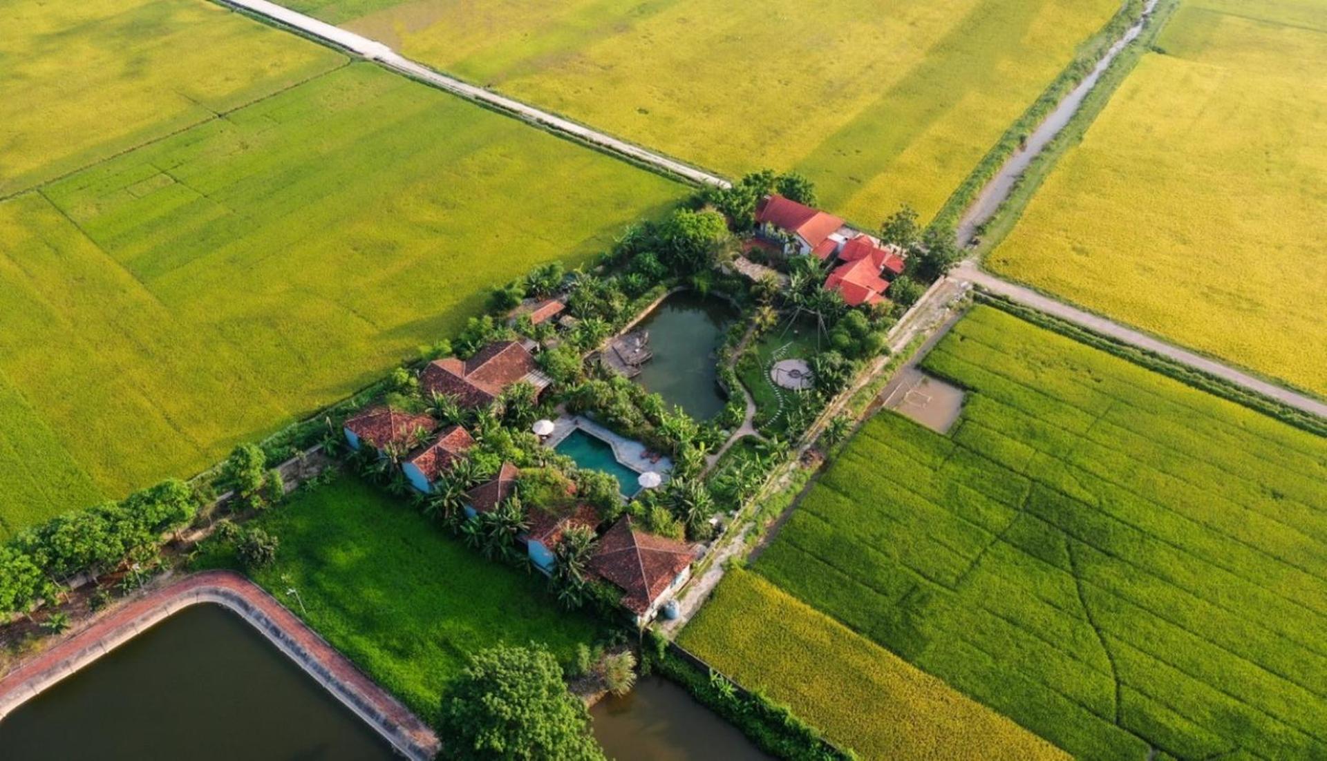 Chezcao Rice Field Ecolodge Ninh Binh Eksteriør bilde